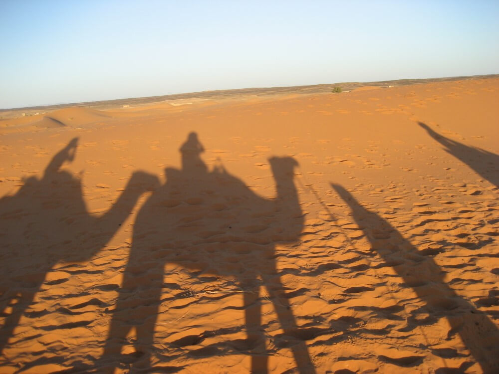 サハラ砂漠　ラクダ乗り体験