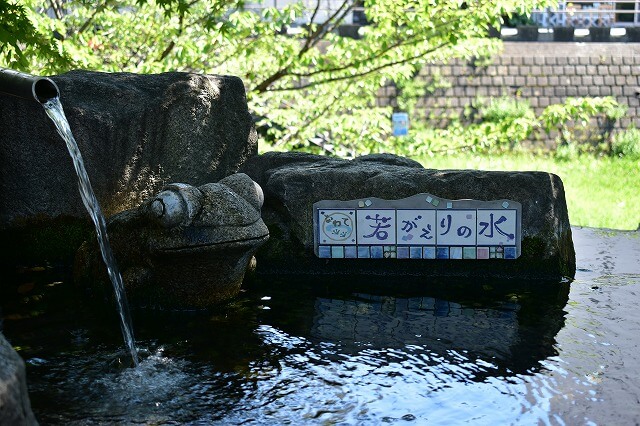 八ヶ岳　レポート　松本の井戸