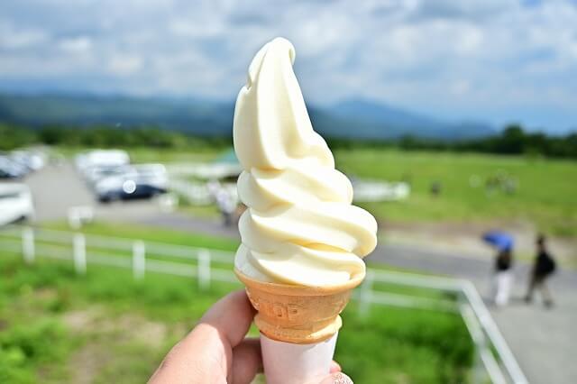 八ヶ岳　レポート　ソフトクリーム